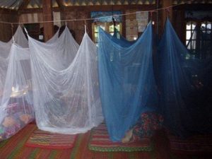 Moskitonetze in Vietnam zum Schutz vor Malaria